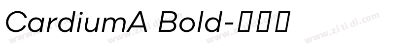 CardiumA Bold字体转换